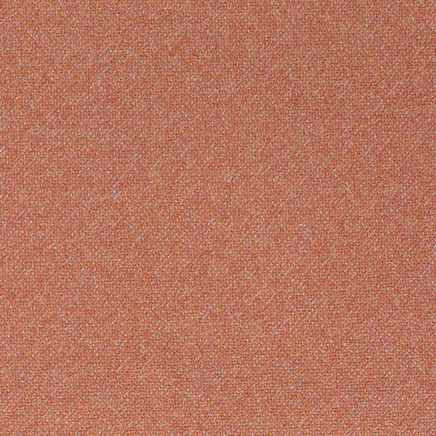 Chivasso Bonsai Reboot Colour 41