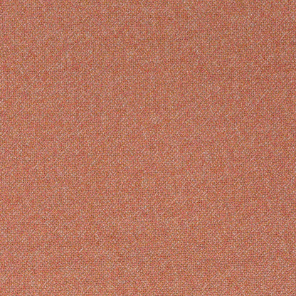 Chivasso Bonsai Reboot Colour 41