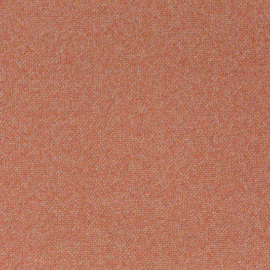 Chivasso Bonsai Reboot Colour 41