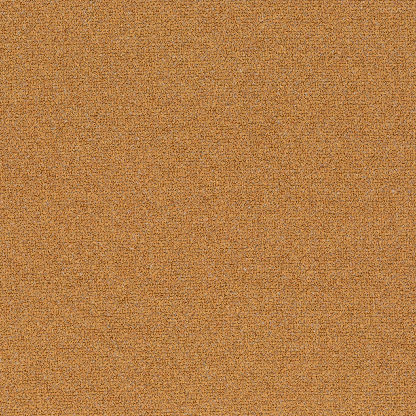 Chivasso Bonsai Reboot Colour 50