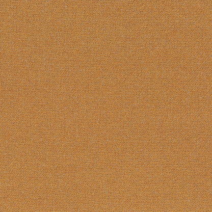 Chivasso Bonsai Reboot Colour 50