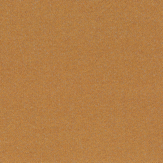 Chivasso Bonsai Reboot Colour 50