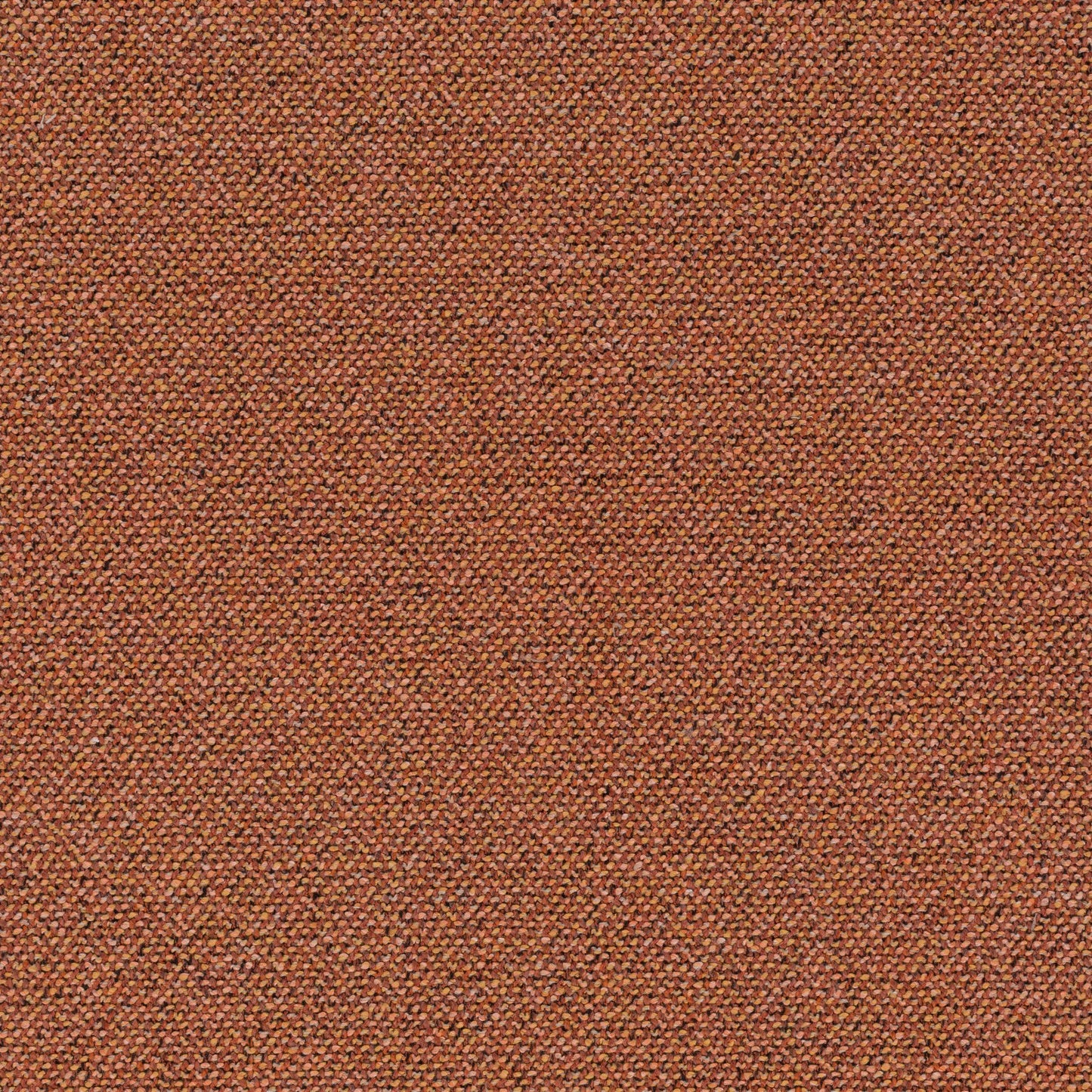 Chivasso Bonsai Reboot Colour 52