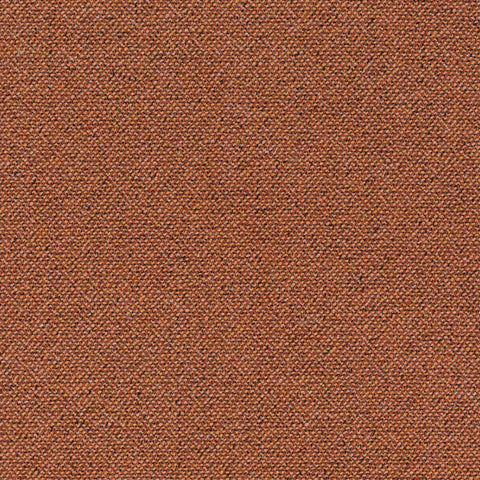 Chivasso Bonsai Reboot Colour 52