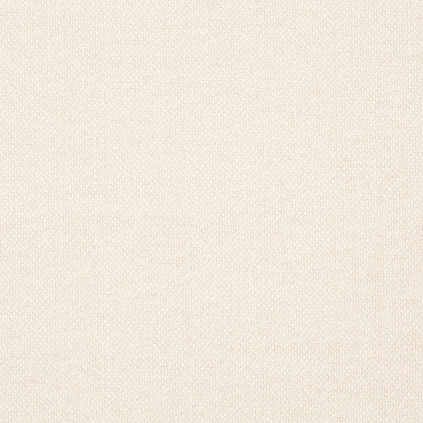 Chivasso Bonsai Reboot Colour 1