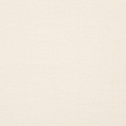 Chivasso Bonsai Reboot Colour 1