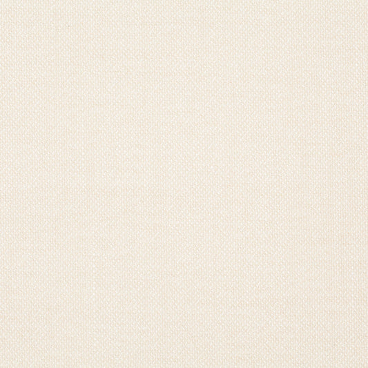 Chivasso Bonsai Reboot Colour 1