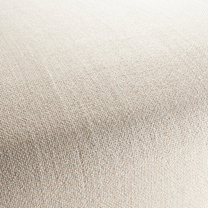 Chivasso Bonsai Reboot Colour 1