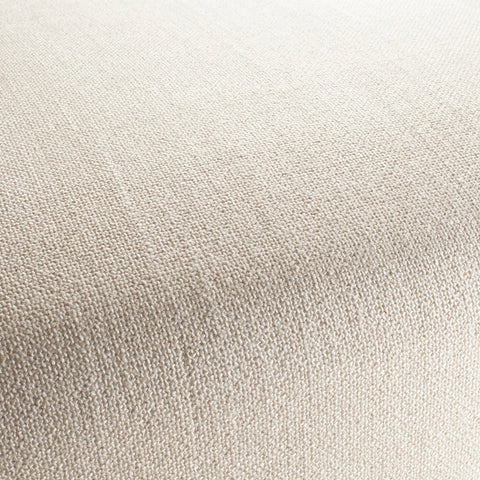 Chivasso Bonsai Reboot Colour 1