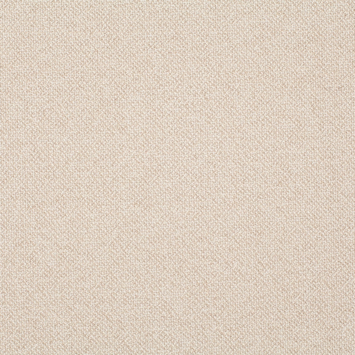 Chivasso Bonsai Reboot Colour 3