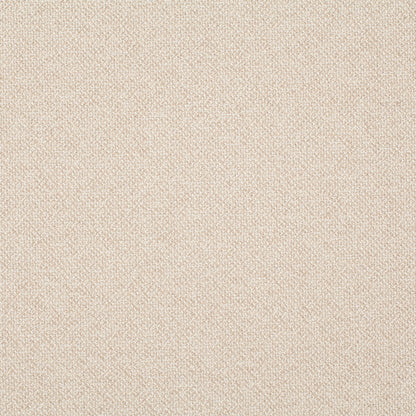 Chivasso Bonsai Reboot Colour 3