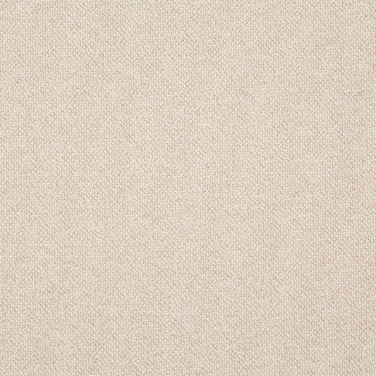 Chivasso Bonsai Reboot Colour 3