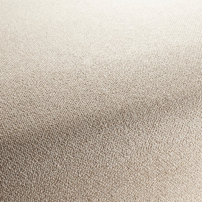 Chivasso Bonsai Reboot Colour 3