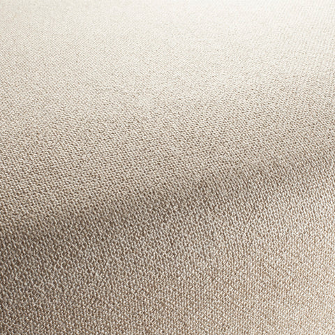 Chivasso Bonsai Reboot Colour 3