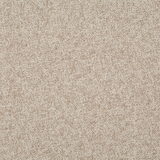 Chivasso Bonsai Reboot Colour 7