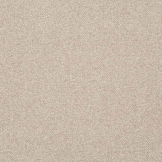 Chivasso Bonsai Reboot Colour 5