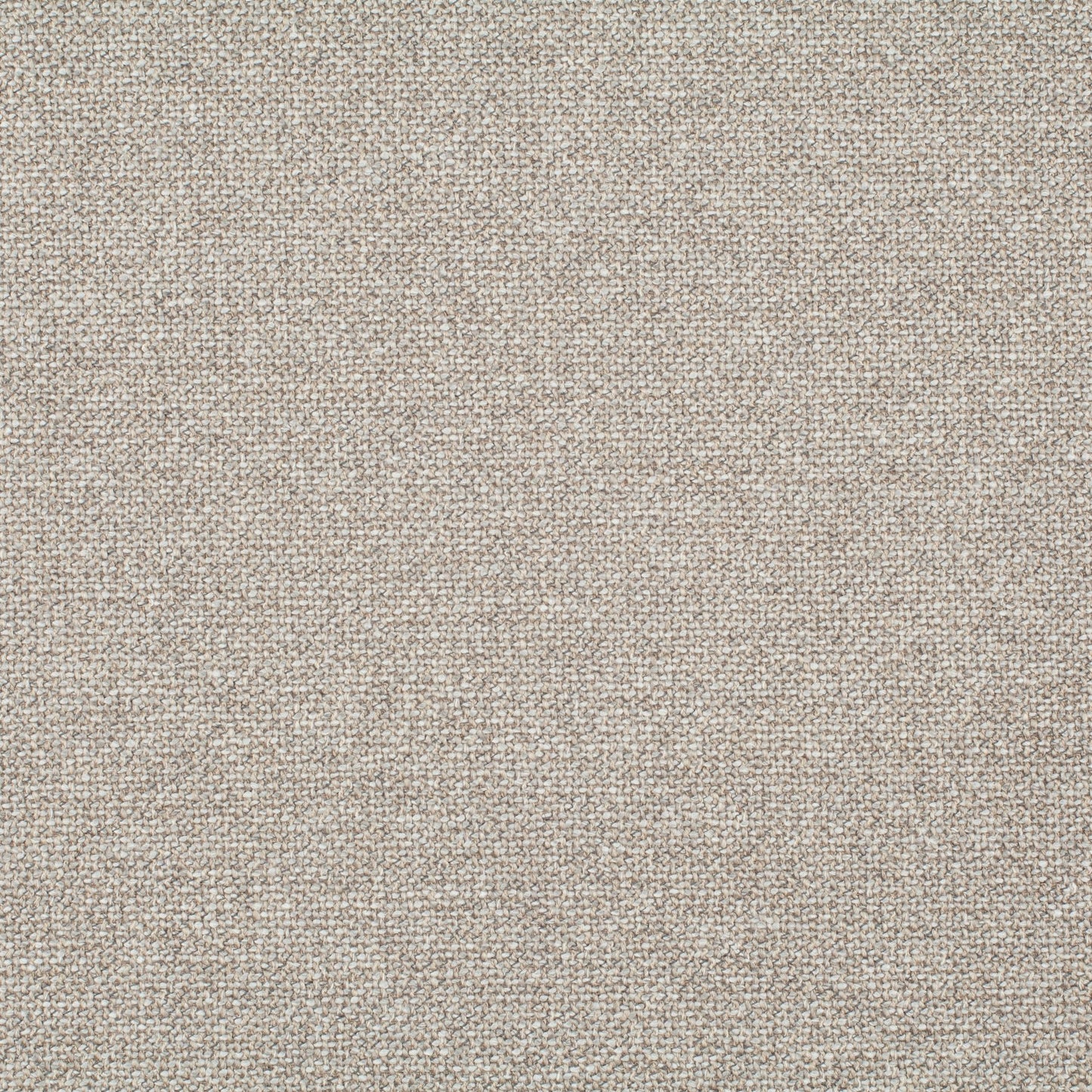 Chivasso Bonsai Reboot Colour 9