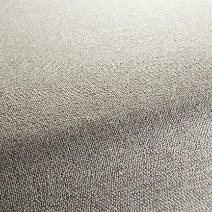 Chivasso Bonsai Reboot Colour 9