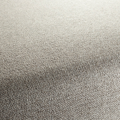 Chivasso Bonsai Reboot Colour 9