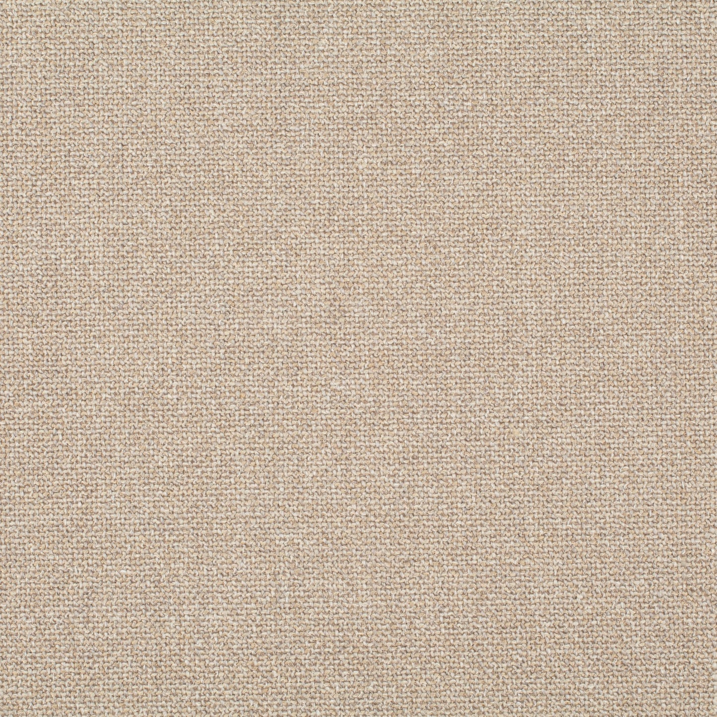 Chivasso Bonsai Reboot Colour 6