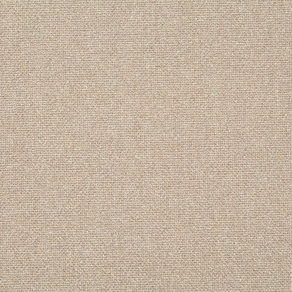 Chivasso Bonsai Reboot Colour 6