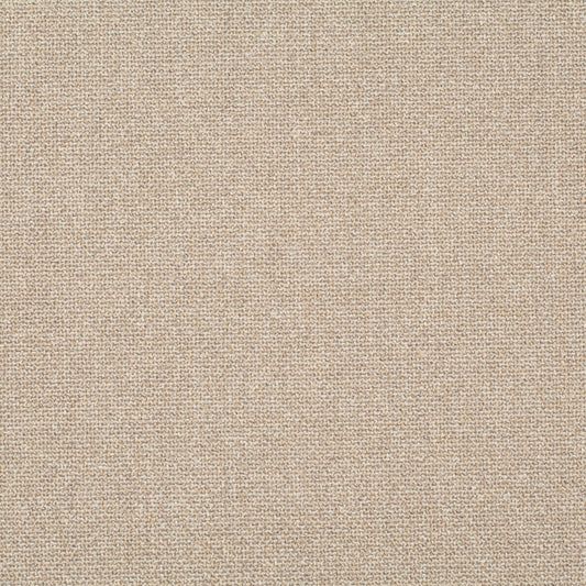 Chivasso Bonsai Reboot Colour 6