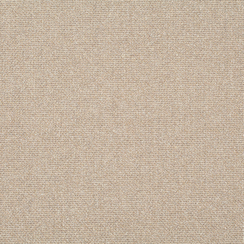 Chivasso Bonsai Reboot Colour 6