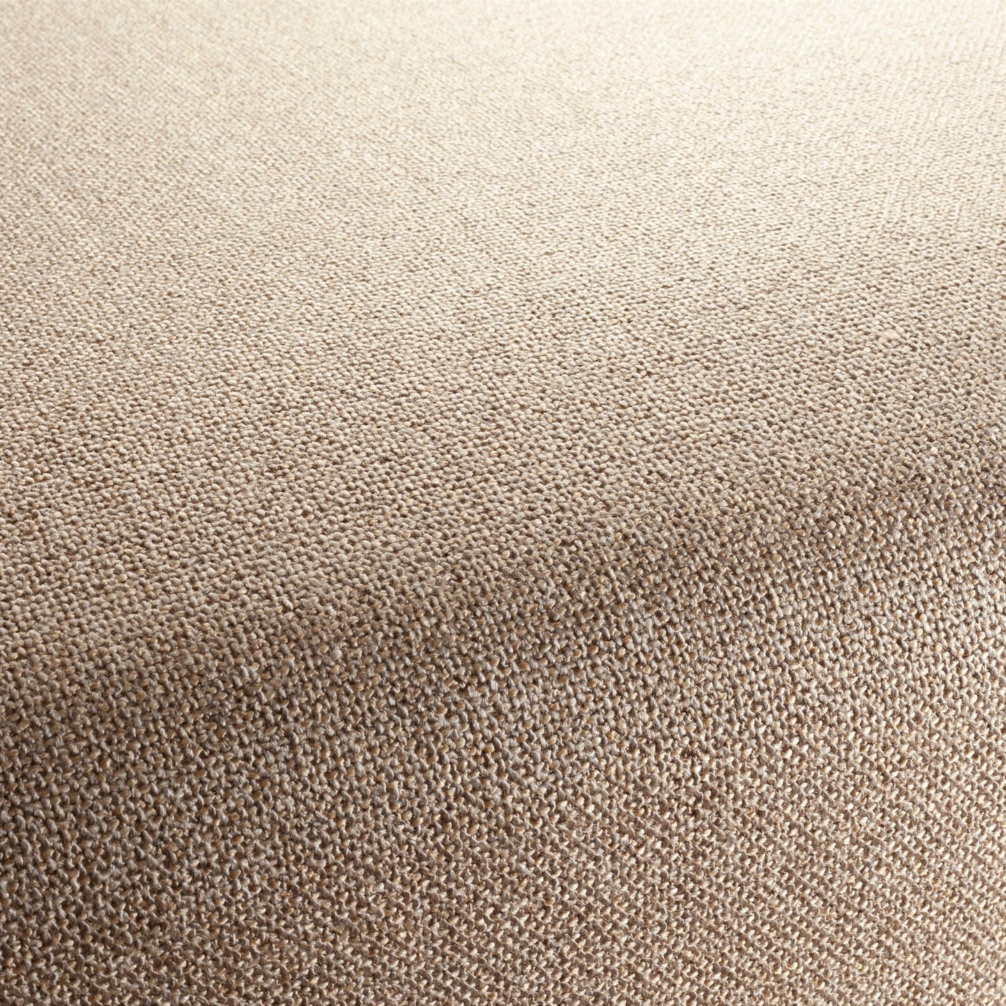 Chivasso Bonsai Reboot Colour 6