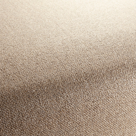 Chivasso Bonsai Reboot Colour 6