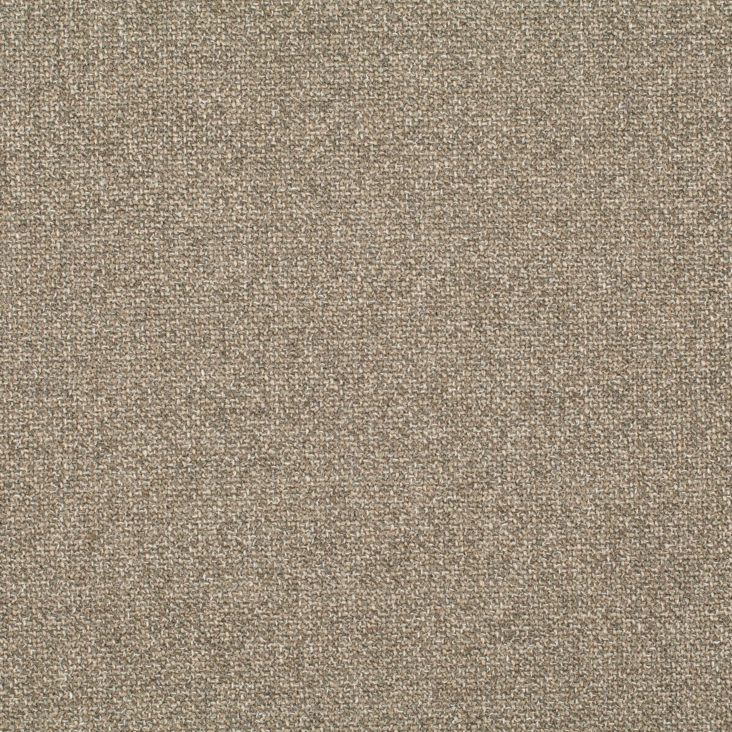 Chivasso Bonsai Reboot Colour 10