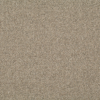 Chivasso Bonsai Reboot Colour 10