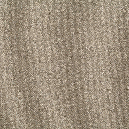 Chivasso Bonsai Reboot Colour 10