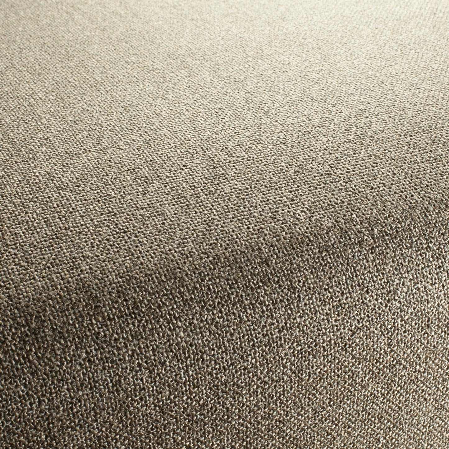 Chivasso Bonsai Reboot Colour 10