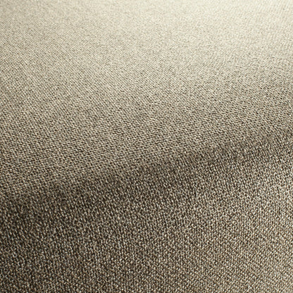 Chivasso Bonsai Reboot Colour 10