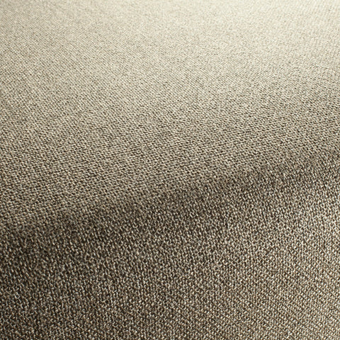 Chivasso Bonsai Reboot Colour 10