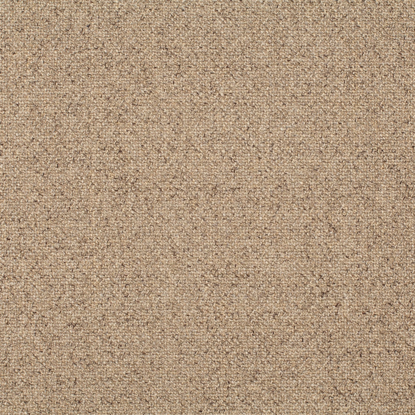 Chivasso Bonsai Reboot Colour 53