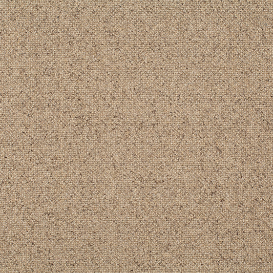 Chivasso Bonsai Reboot Colour 53