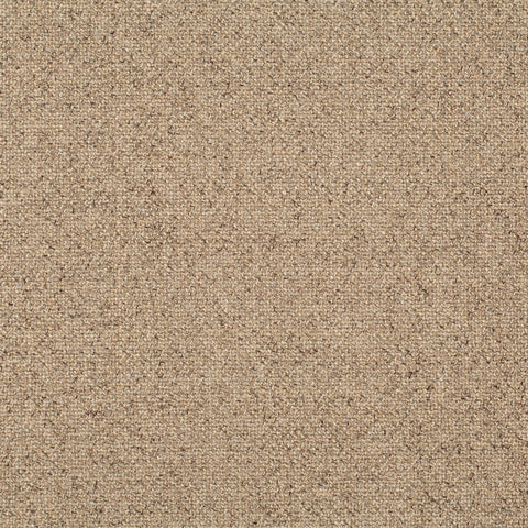 Chivasso Bonsai Reboot Colour 53