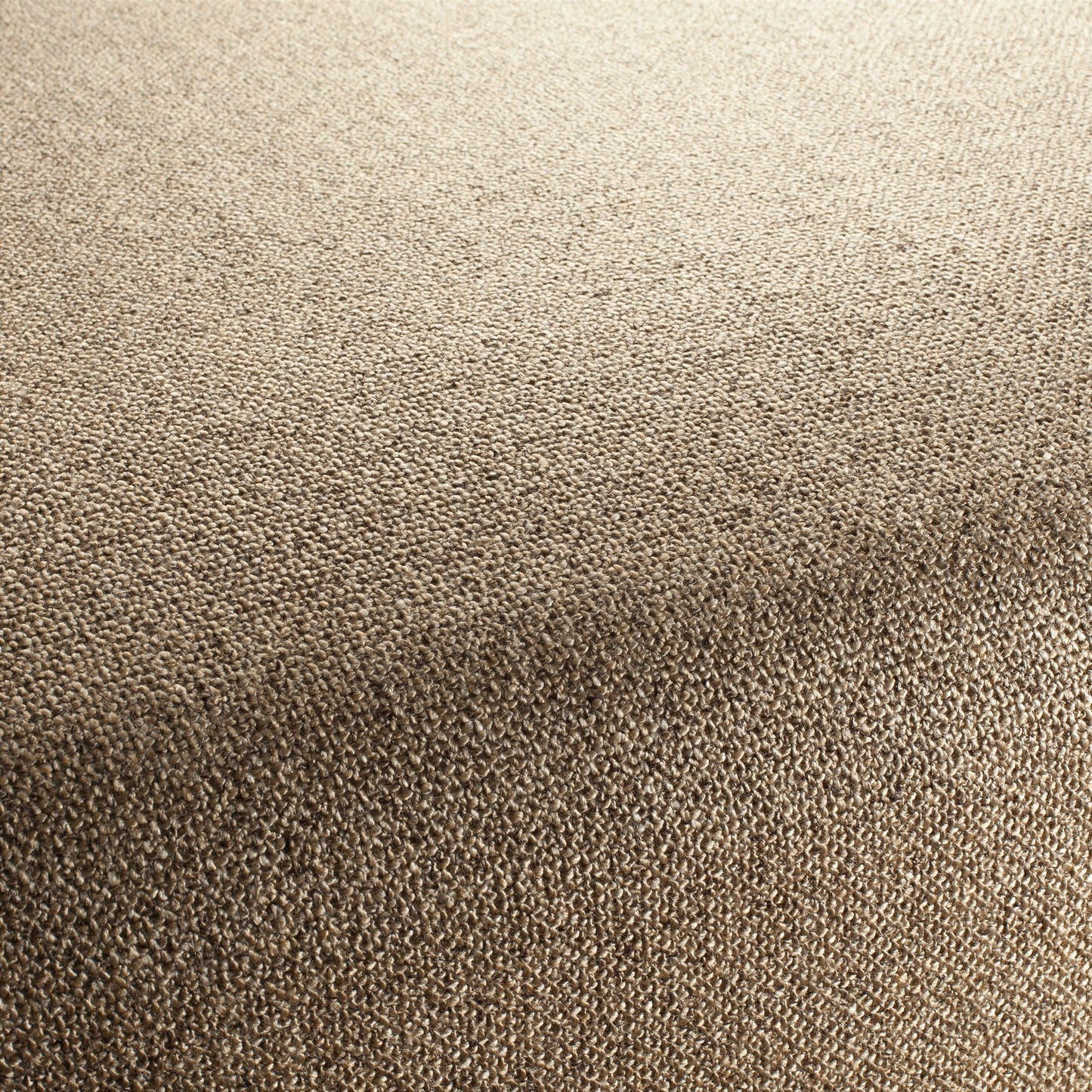 Chivasso Bonsai Reboot Colour 53