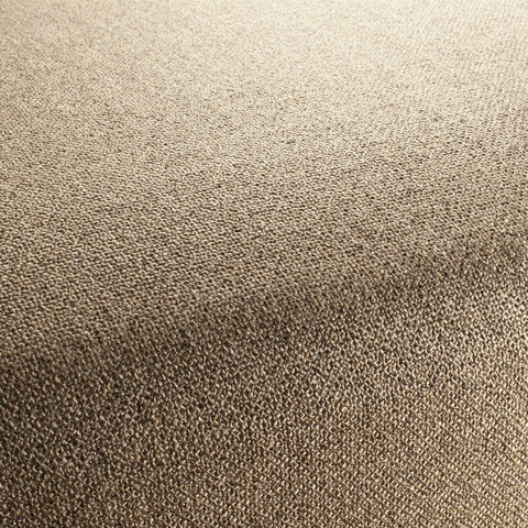 Chivasso Bonsai Reboot Colour 53