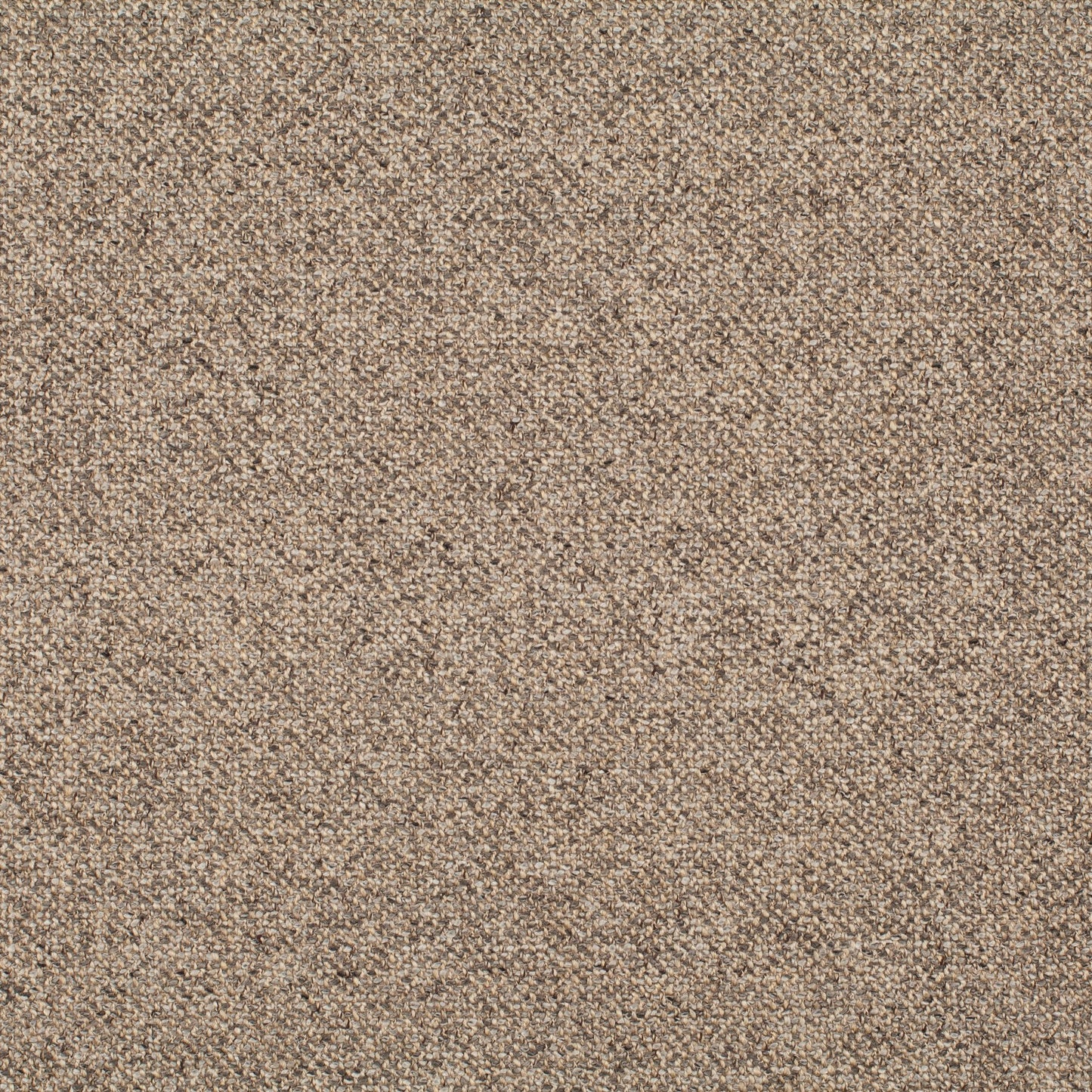 Chivasso Bonsai Reboot Colour 55