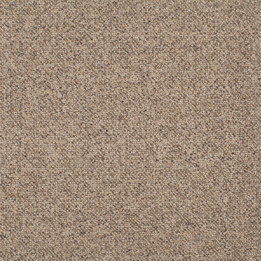 Chivasso Bonsai Reboot Colour 55