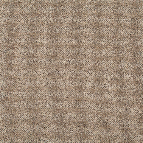 Chivasso Bonsai Reboot Colour 55