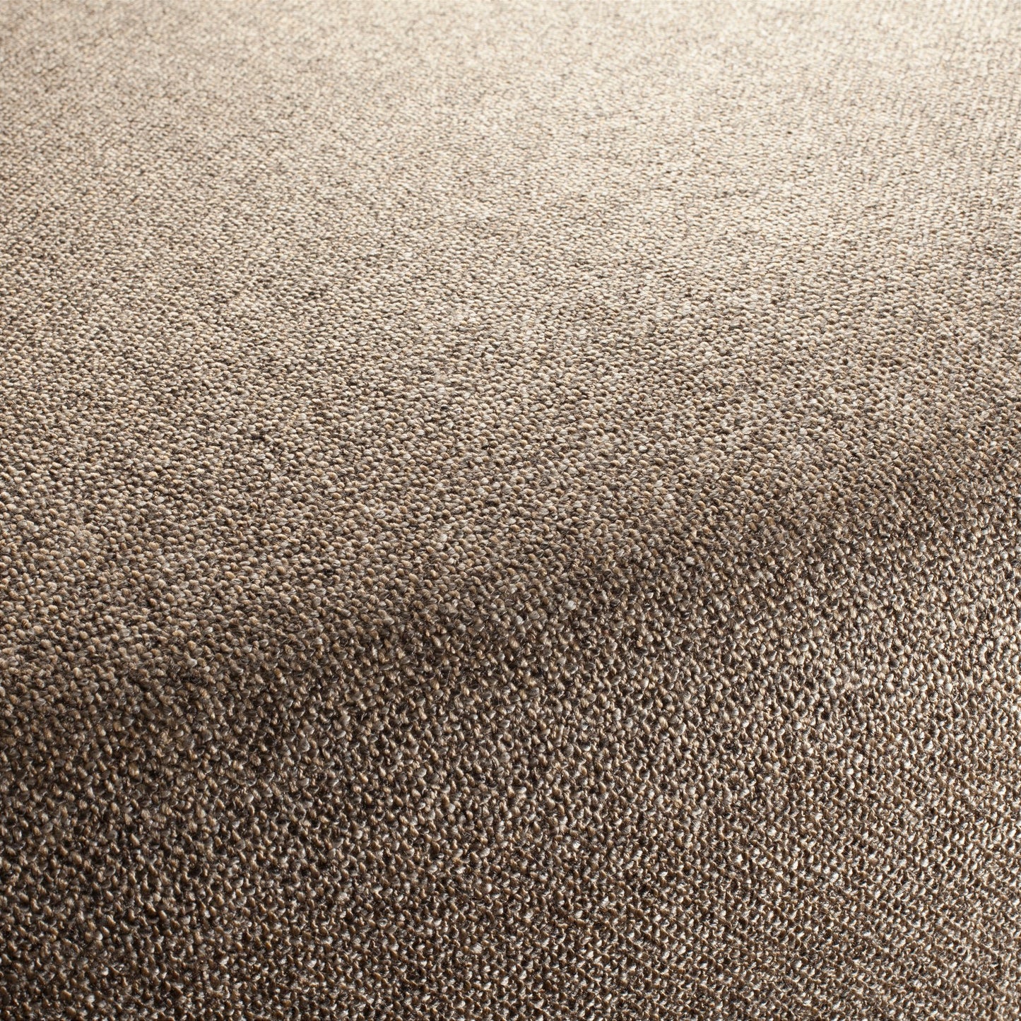 Chivasso Bonsai Reboot Colour 55