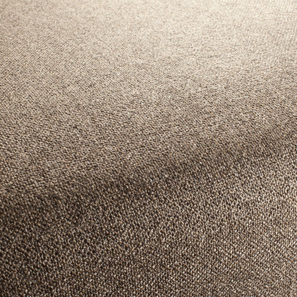 Chivasso Bonsai Reboot Colour 55