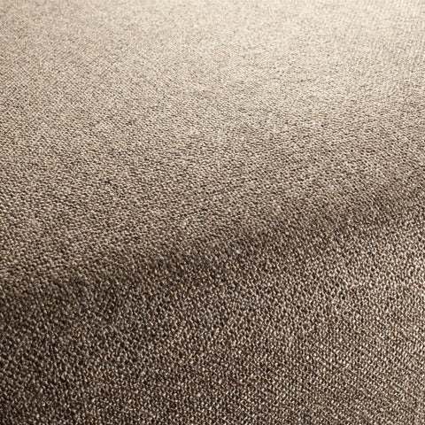 Chivasso Bonsai Reboot Colour 55