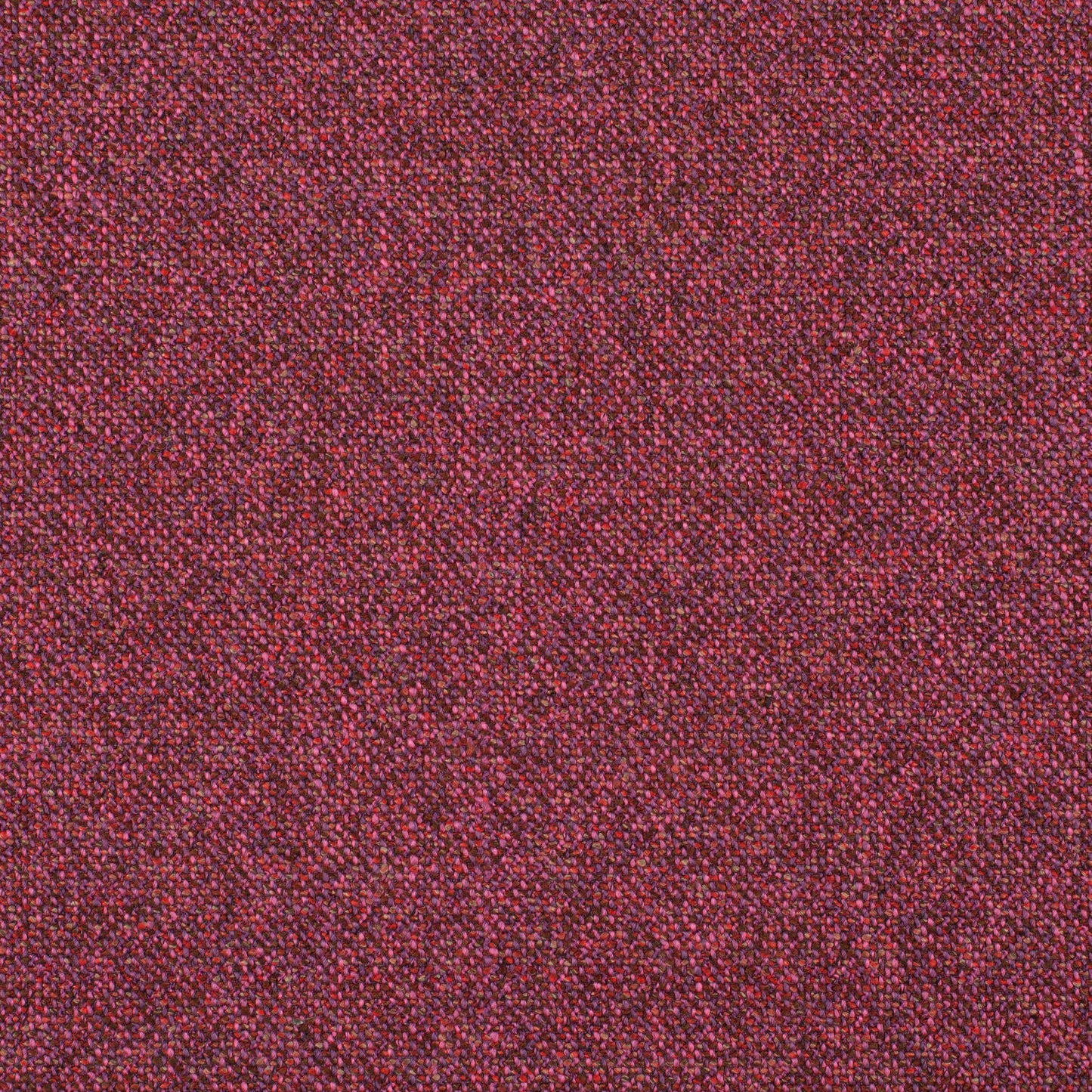 Chivasso Bonsai Reboot Colour 43