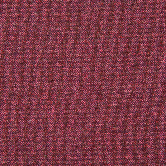 Chivasso Bonsai Reboot Colour 43