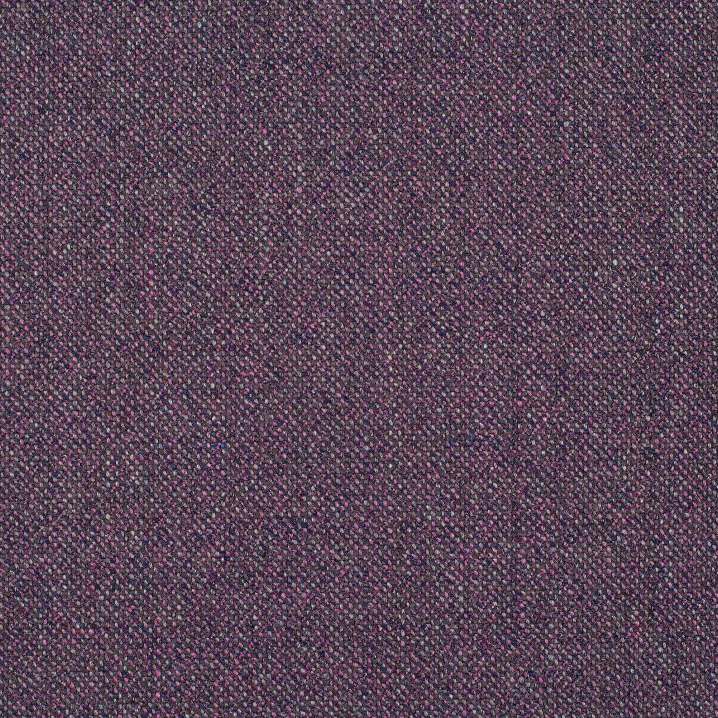 Chivasso Bonsai Reboot Colour 39