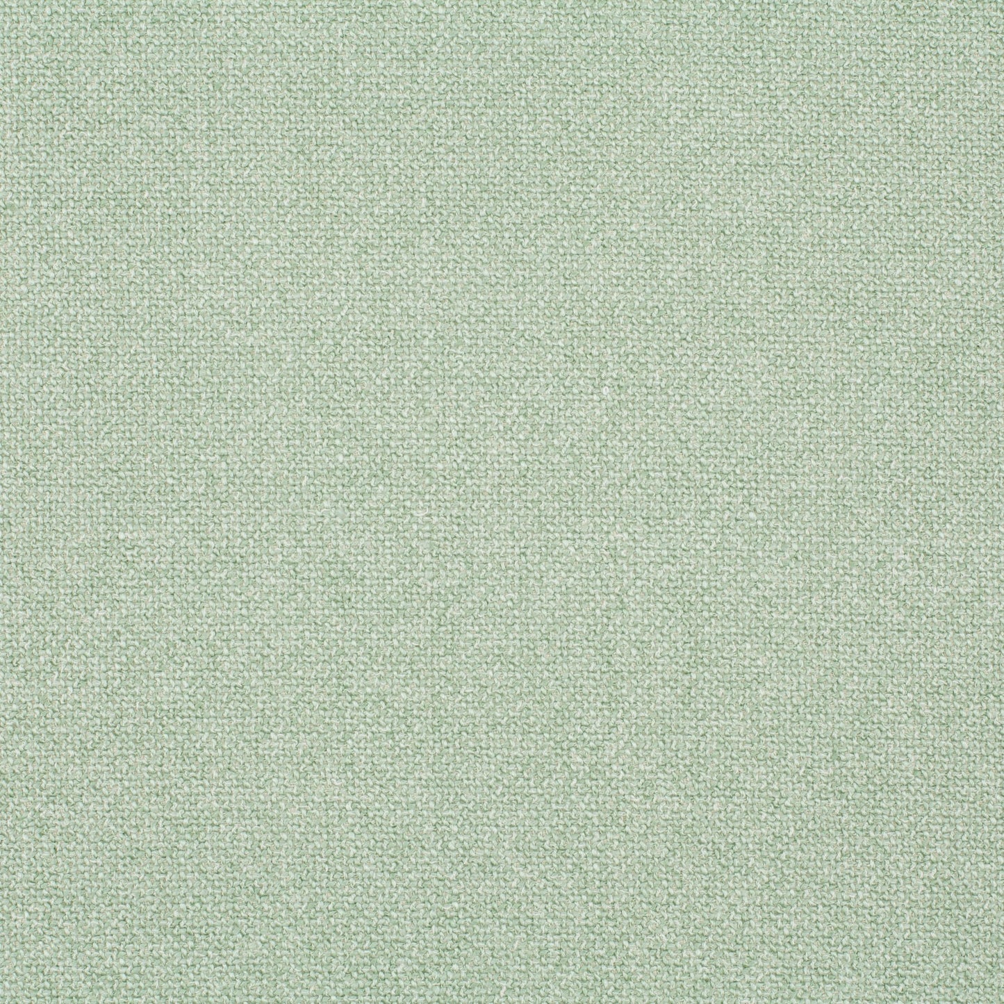 Chivasso Bonsai Reboot Colour 24